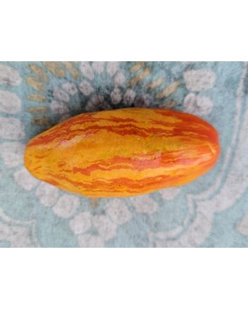Tomato 'Casady's Folly' Seeds (Certified Organic) 