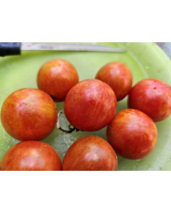 Tomato 'Red Zebra Cherry' Seeds