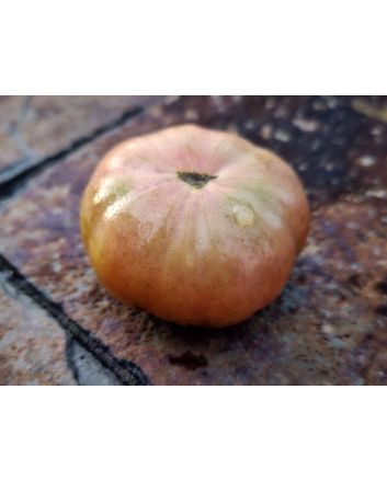 Tomato 'Bali' Seeds