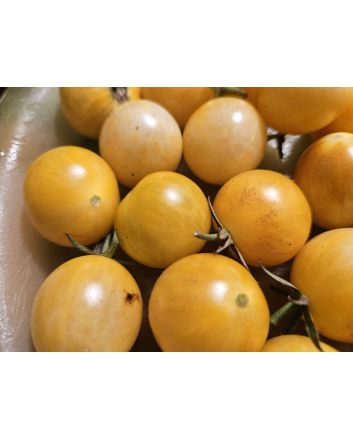 Tomato 'Yellow Zebra Cherry' Seeds