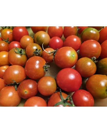 Tomato 'Small Red Cherry Detroit' Seeds