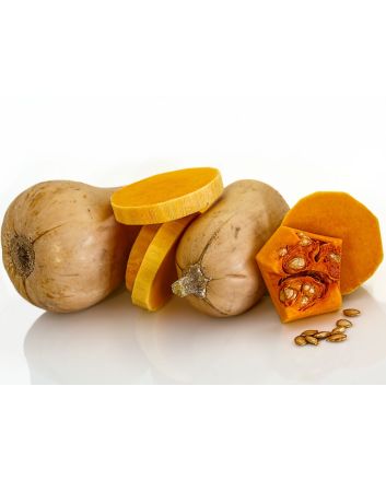 Butternut Squash 'Honeynut' 