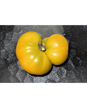 Dwarf Tomato 'Uluru Ochre' Seeds
