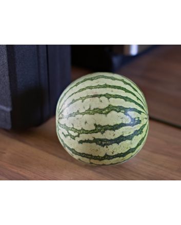 Watermelon 'Early Moonbeam'