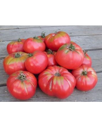 Tomato 'Caspian Pink'