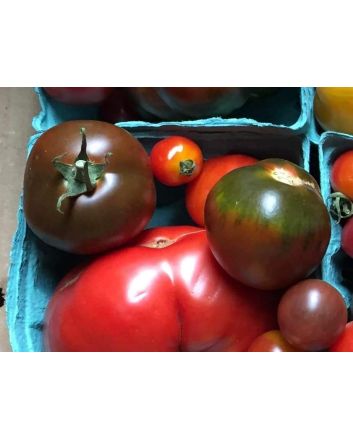 Tomato 'Tamara's Sweet Brown' Seeds (Naturally Grown)