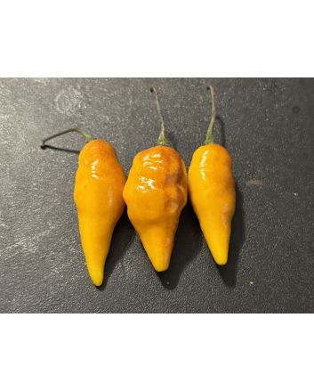 Hot Pepper 'Pointy Puma Mix' Seeds