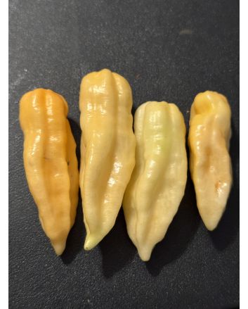 Hot Pepper 'Aji Lemon x Reaper, Peach' Seeds