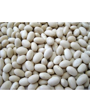 Snap Bean 'White Half Runner' 