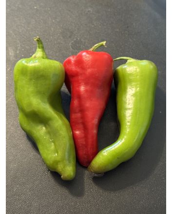 Sweet Pepper 'Cubanelle' Seeds