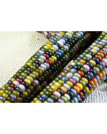Glass Gem Corn Seeds