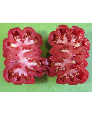 Tomato 'Pink Accordion'
