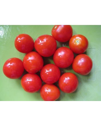 Tomato 'Large Red Cherry' Plant (4" Pot, single)