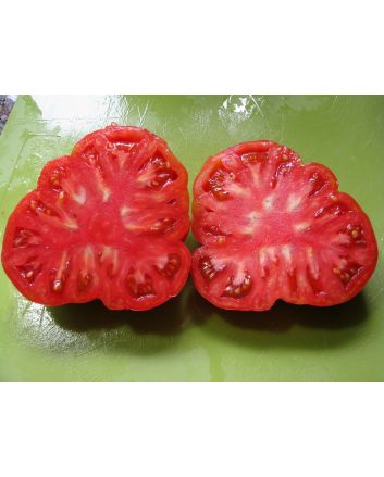 Tomato 'Mortgage Lifter' 