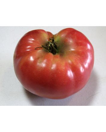 Tomato 'Tall Vine Brandywine'