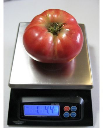 Tomato 'Tall Vine Brandywine'