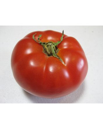Tomato 'Adventure' Seeds (Naturally Grown)
