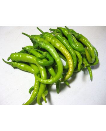 Sweet Pepper 'Jimmy Nardello' Seeds (Naturally Grown)