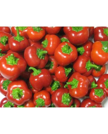 Sweet Pepper ‘Mini Red Bell’ Seeds (Naturally Grown)