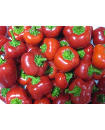 Sweet Pepper ‘Mini Red Bell’ Seeds (Naturally Grown)
