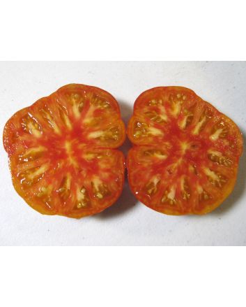 Tomato 'Northern Lights'