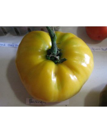 Tomato 'Basinga' 