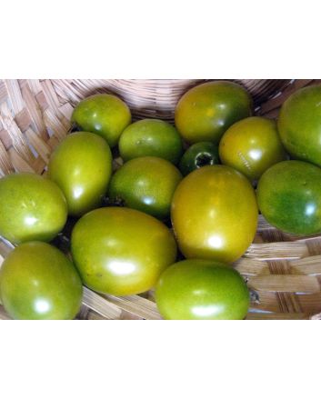 Tomato 'Green Grape' Seeds (Certified Organic)