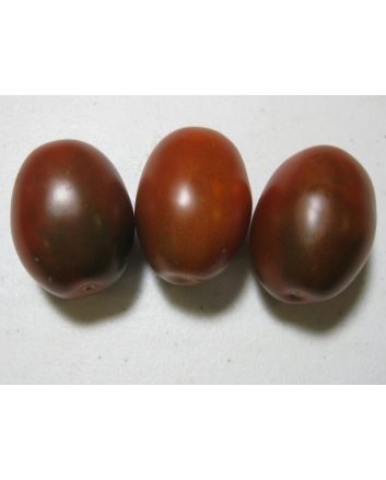 Tomato 'Black Plum'