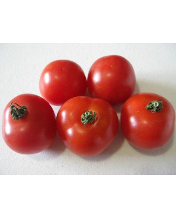 Tomato 'Gardener's Delight' Seeds (Naturally Grown)