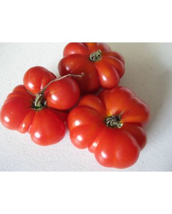 Tomato 'Ceylon' Seeds (Naturally Grown)