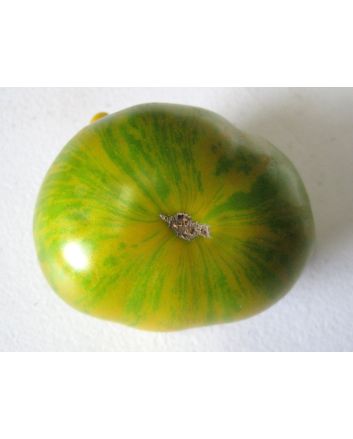 Tomato 'Green Zebra'