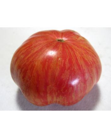Tomato 'Vintage Wine'