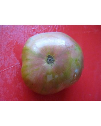 Tomato 'Ananas Noire' 