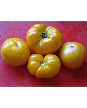 Tomato 'Azoychka' Seeds (Naturally Grown)
