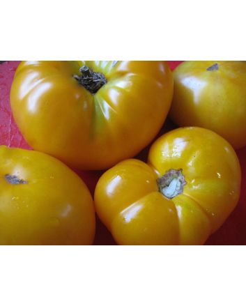 Tomato 'Azoychka' Seeds (Naturally Grown)