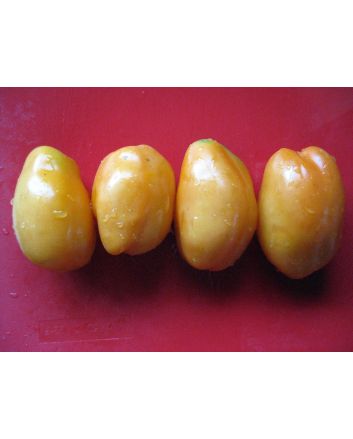 Tomato 'Orange Banana'