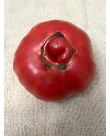 Tomato 'Sunset Puff' Seeds (Naturally Grown)