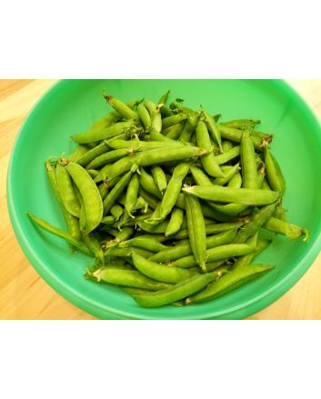 Pea 'Jumbo' Seeds (Naturally Grown)