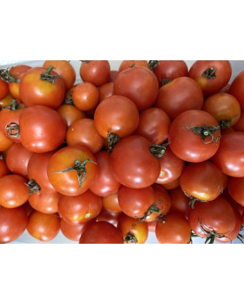 Tomato 'Red Cherry Heirloom' Seeds (Naturally Grown)
