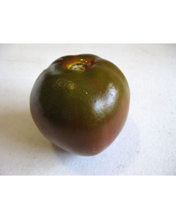 Tomato 'Black Prince'