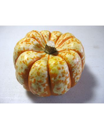 Pumpkin 'Tiger Stripes' Seeds (Naturally Grown)