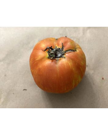 Tomato 'Red Striped Furry Hog' Seeds (Naturally Grown)