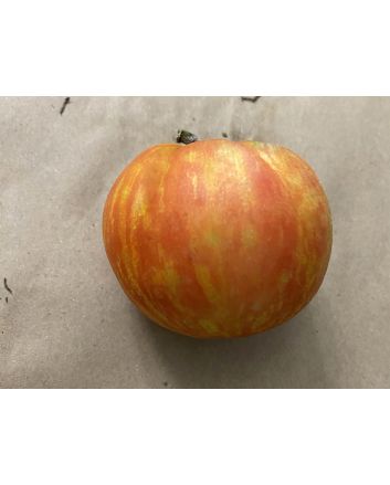 Tomato 'Red Striped Furry Hog' Seeds (Naturally Grown)
