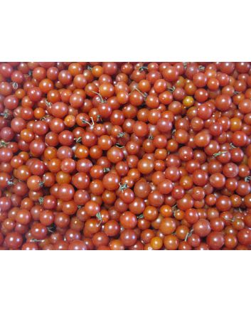 Tomato 'Red Currant'