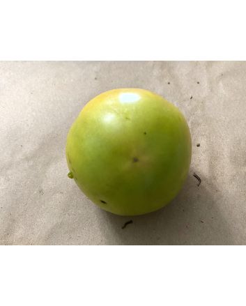 Tomato 'Evan's Supersaver' Seeds (Naturally Grown)