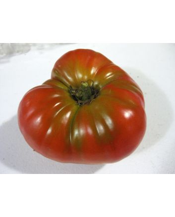 Tomato 'Burgess Climbing Trip-L-Crop'