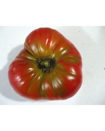 Tomato 'Burgess Climbing Trip-L-Crop'