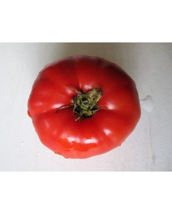 Tomato 'Palo Alto'