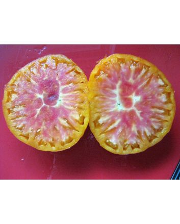 Tomato 'Pineapple'
