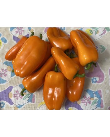 Sweet Pepper 'Lunch Box Orange' Seeds (Naturally Grown)